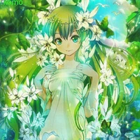 Komo Kamisato