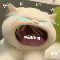 Eki bị khùng