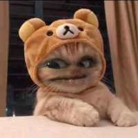 Tác giả dzai✨