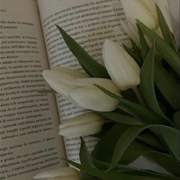 Gheiu của 22X🤡🌷