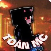 toàn_MC