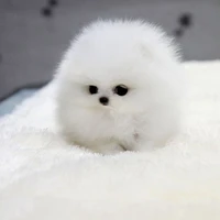 Hệ thống (Bảo Bảo)