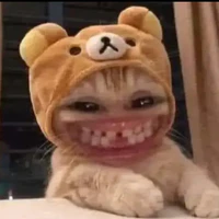 Cả lớp 