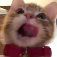 Đoán đi mấy babe:3