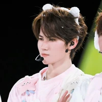 Trương Chân Nguyên