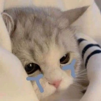 Tg nò