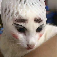 Mèo Meo Meo_AnhThuw🤞🏻