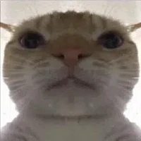 T/g