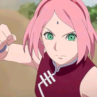uchiha/ haruno sakura [NT]