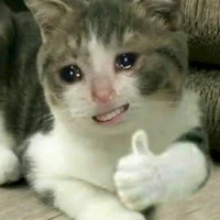 ꧁Tác giả꧂