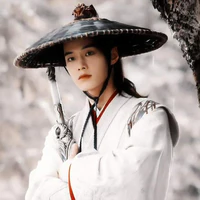 Diệp Đỉnh Chi