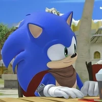 Sonic the hedgehog