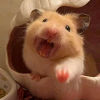 Tác giả lườii