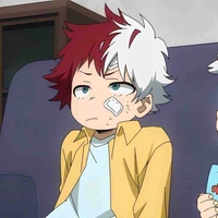 Todoroki Touya