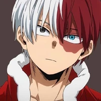 todoroki shouto