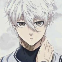Nagi seishiro