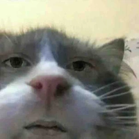 All 