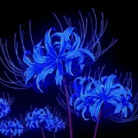 giáo viên zui tính