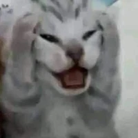 công với thụ (ngtac)