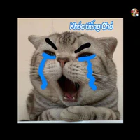 bà t\g tào lao
