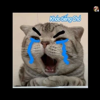 bà t\g tào lao