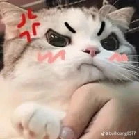 Gia đình Đại Việt 