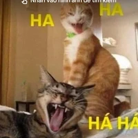 Các thầy cô