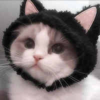 tác giả hiphop ko ^^