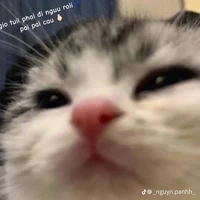 tất cả công và thụ