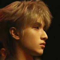 Nghiêm Hạo Tường