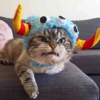 Mẫu thân Đình Vũ