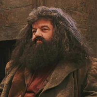Rubeus Hagrid