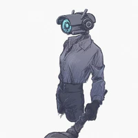 Camerawoman
