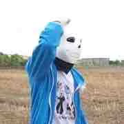 sans