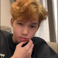 Hữu đạt|phoenix|A