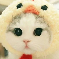 hệ thống088 tiểu Bạch