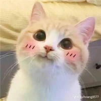 Tác giả