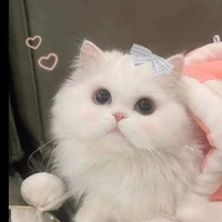 Shiro