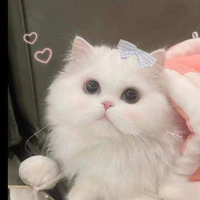 Shiro