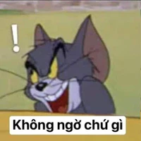 Mọi người