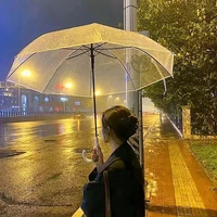 Huỳnh Ngọc Nga - Nadia