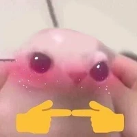 Hệ thống 419 (Gin)