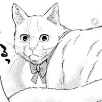 Risa - chan