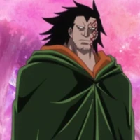 Monkey D Dragon 