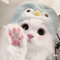 Tác giả🌺