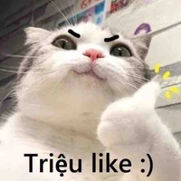 Hệ thông triệu like 👍/ mồn lèo