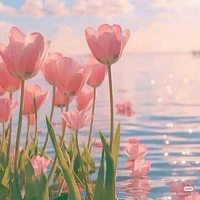 Đ!t Nhầm Ck Bạn