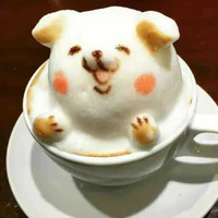 T/g zui zính