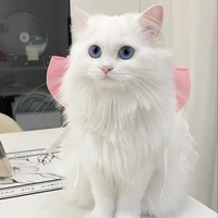 Hệ Thống cấp SSS+[Cat]