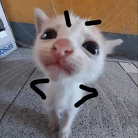 All (Trừ nhữg ng cần trừ)